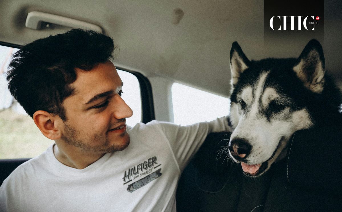 Esta es la multa por no llevar protección para tu mascota en el auto (Pexels)