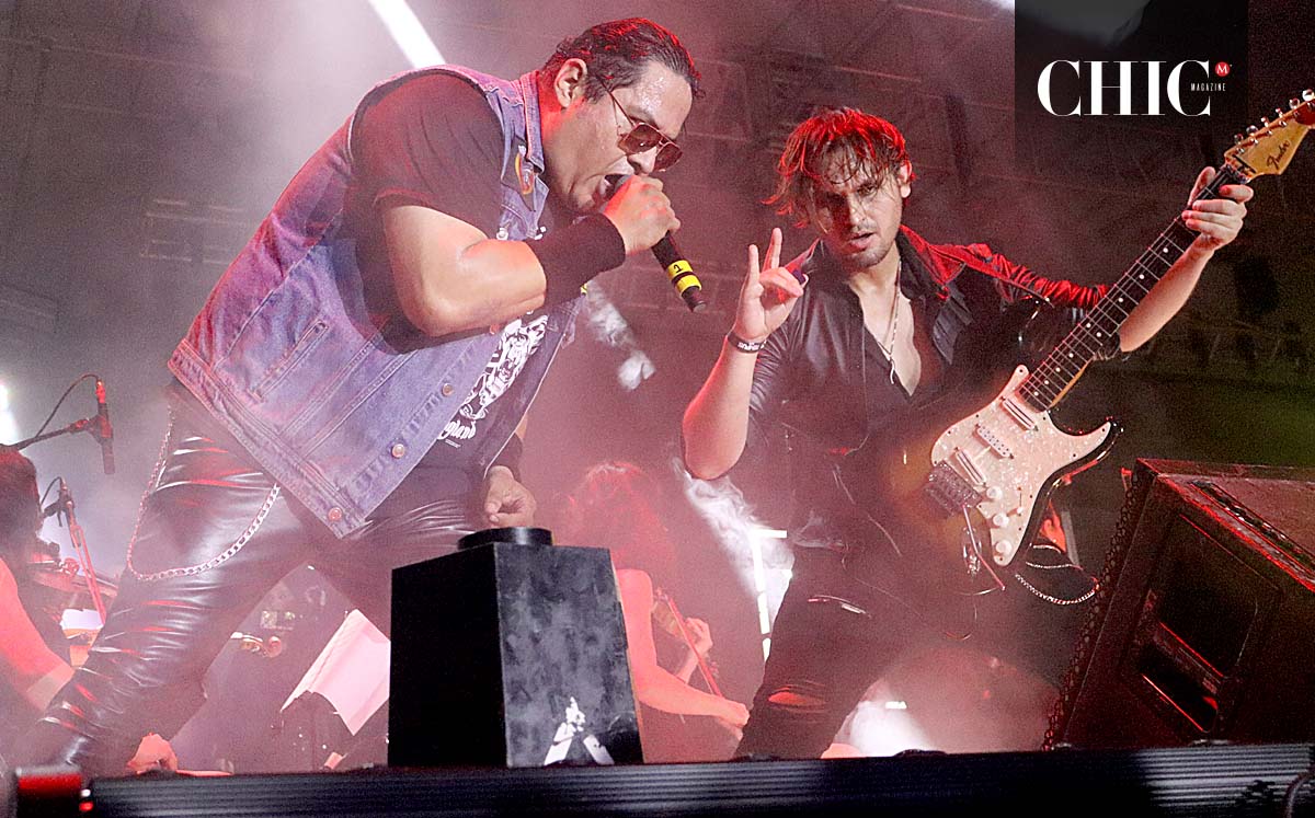 Detalles de las bandas