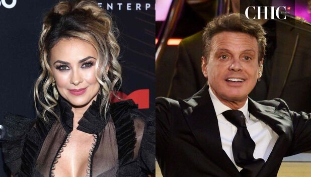 El hijo de Luis Miguel y Aracely Arámbula debutará como cantante (Foto: Instagram)