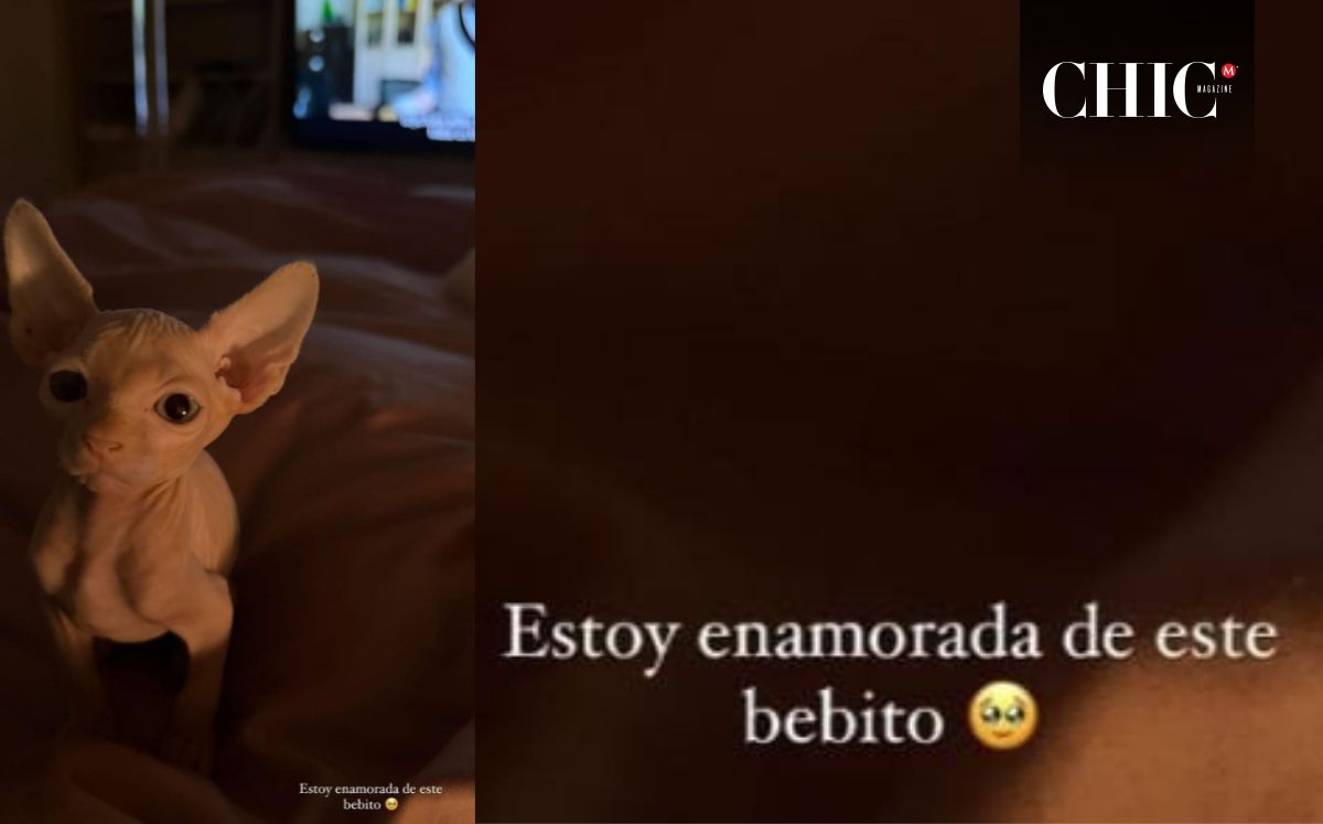 El mensaje del nuevo amor de Belinda (Instagram)