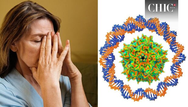 Conoce los síntomas que presenta una persona con parvovirus humano (Getty Images)