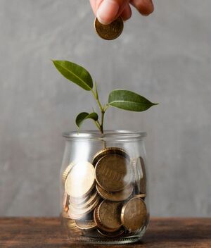 Aprende a poner límites financieros con Sofía Macías (Freepik)