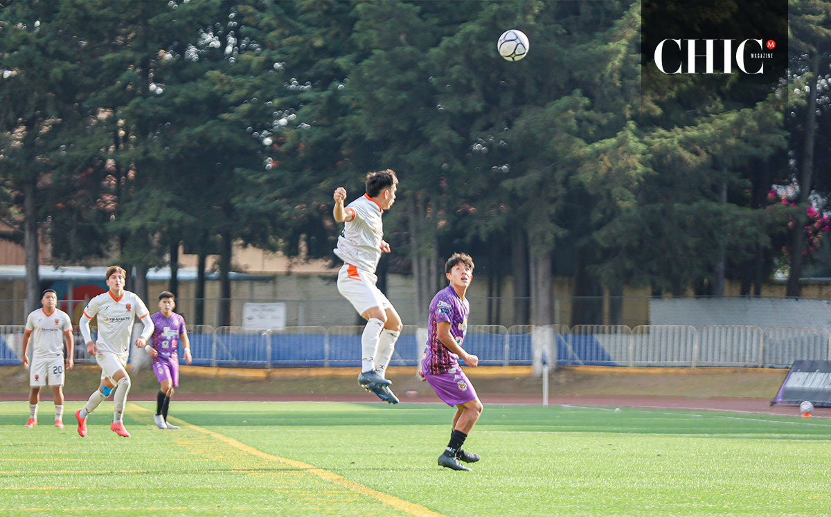 Artesanos de Metepec y Santiago F.C (Edgar Segura)