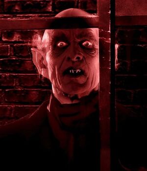 Nosferatu (Instagram)