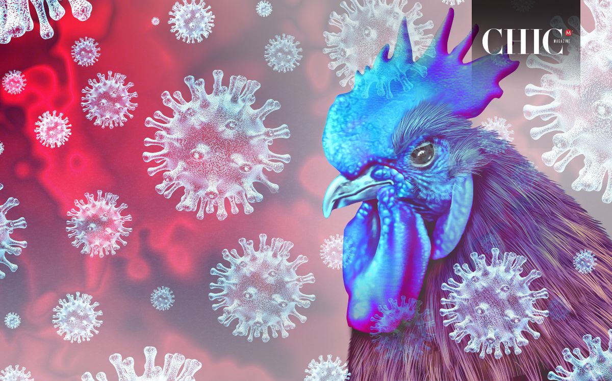 La UNAM ha encendido las alertas sobre la influenza aviar H5N1 (Foto. Getty)