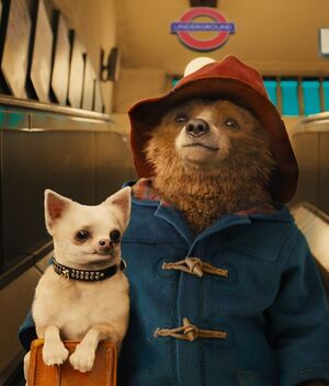 Paddington 4: Fecha de estreno, elenco y de qué tratará (Foto: Instagram)