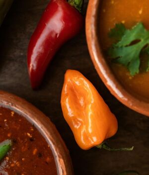 Conoce la mejor salsa de México según Taste Atlas (Pexels)