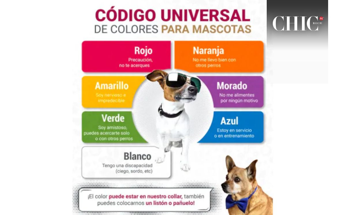 Significado del color de los collares de perros en CDMX (Gobierno de la ciudad de México)