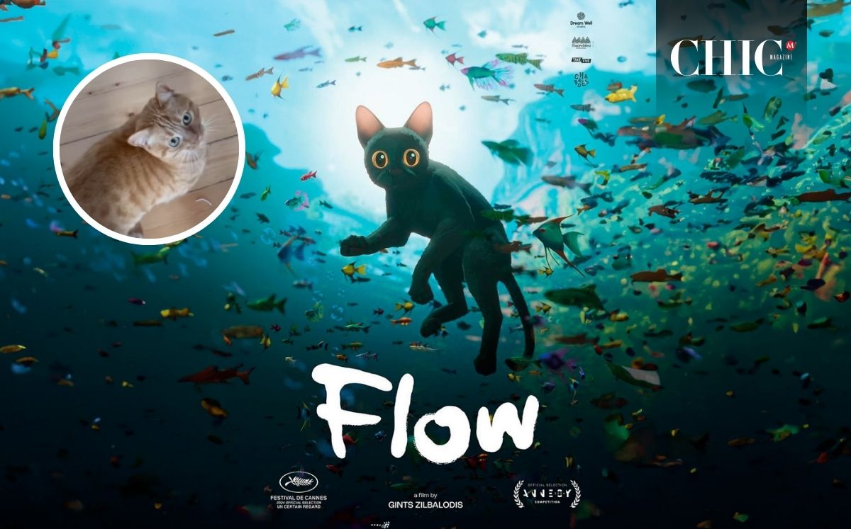 Ellos son los gatos que le dieron vida a 'Flow'