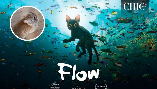 Ellos son los gatos que le dieron vida a 'Flow'