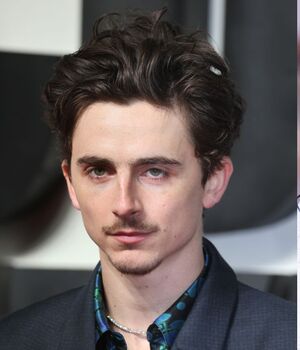 Timothée Chalamet y la relación que tiene con los hijos de Kylie Jenner (Getty Images)