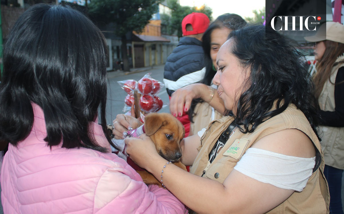 La Mejor Jugada es Adoptar
