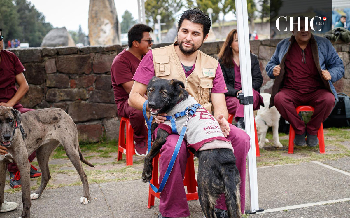 La Mejor Jugada es Adoptar