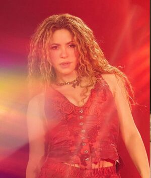 Andy Benavides fue invitada al concierto de Shakira (Instagram)