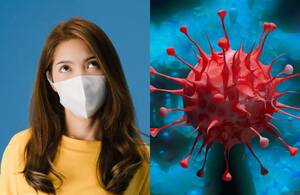 Influenza aviar H5N1 en México: ¿Qué es y cuáles son los síntomas? (Foto: Freepik/Getty)