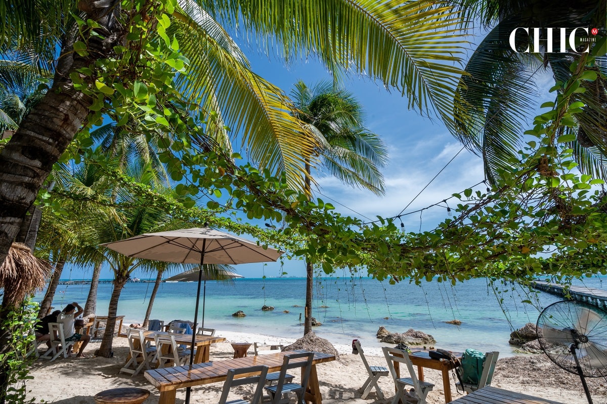 Mayan Monkey Isla Mujeres ofrece un ambiente relajado que combina perfectamente con el espíritu libre del festival. (Cortesía)