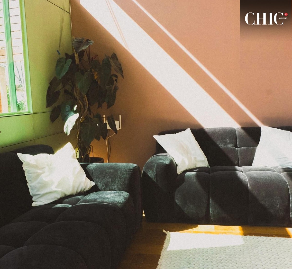 De reciente apertura, Casa Koti en Condesa tiene un enfoque más social y comunitario. (Cortesía)