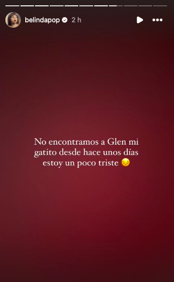 Belinda explica que no encuentra a su gato (Instagram)