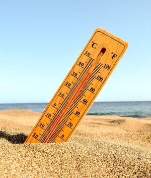 Cómo evitar el calor (Freepik)