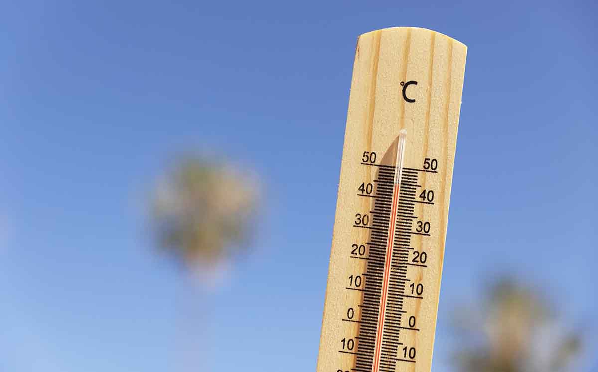 Las temperaturas en México serán muy altas desde marzo hasta junio (Foto: Freepik)