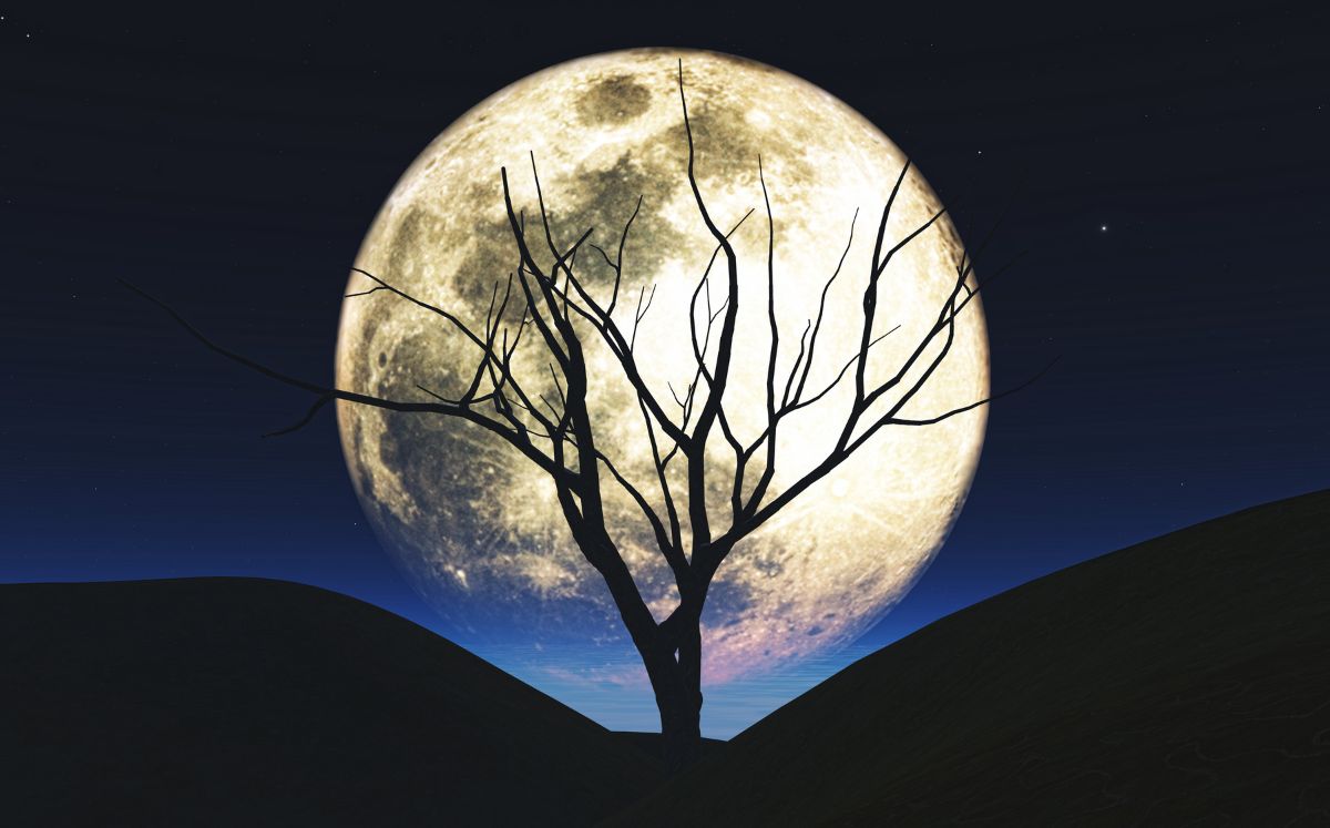 Rituales de luna llena para atraer abundancia (Freepik)