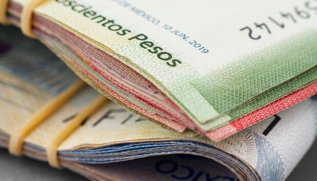 Lista de empresas exentas de reparto de utilidades en 2025 (Freepik)