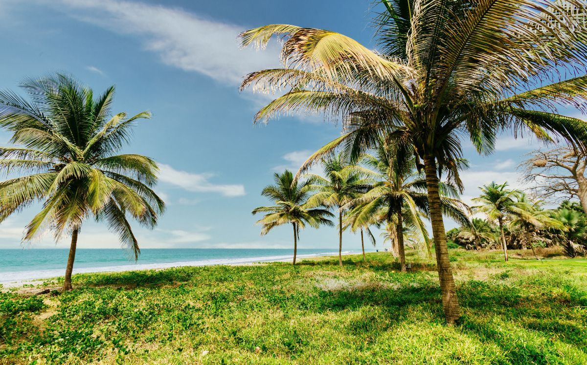 El mar podría avanzar más de lo que imaginas y estas playas mexicanas podrían desaparecer en México (Freepik)