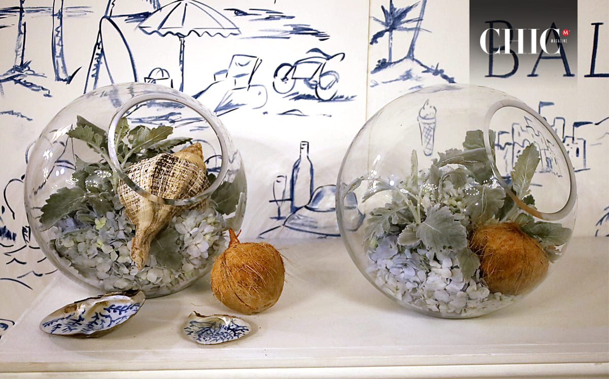 Terrario marinos formaron parte de la decoración