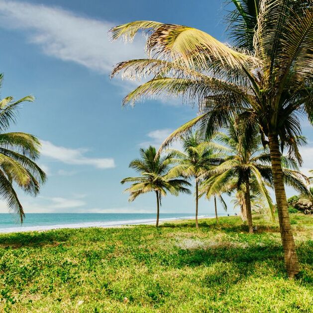 El mar podría avanzar más de lo que imaginas y estas playas mexicanas podrían desaparecer en México (Freepik)