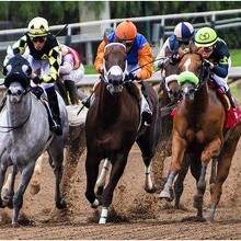 Las carreras de caballos más reconocidas en el mundo