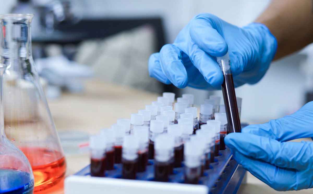 ¿Sangre de laboratorio? La creación que podría salvar la vida de miles de personas (Getty Images)