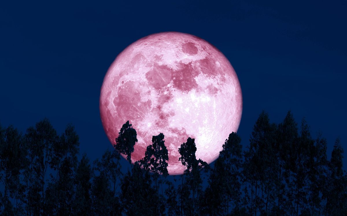 Así es como podrás ser testigo de la belleza de la increíble luna de fresa este 2025 (Getty Images)