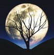 Rituales de luna llena para atraer abundancia (Freepik)