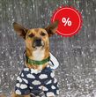 Petco pone en descuento un impermeable para que esta temporada de lluvias, tu perrito no se moje (Petco)