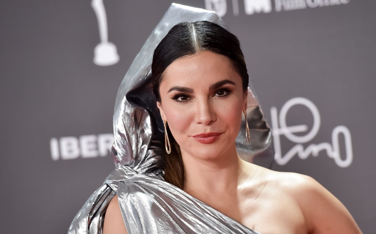 Martha Higareda y el tratamiento que cambió su vida para poder embarazarse (Getty Images)