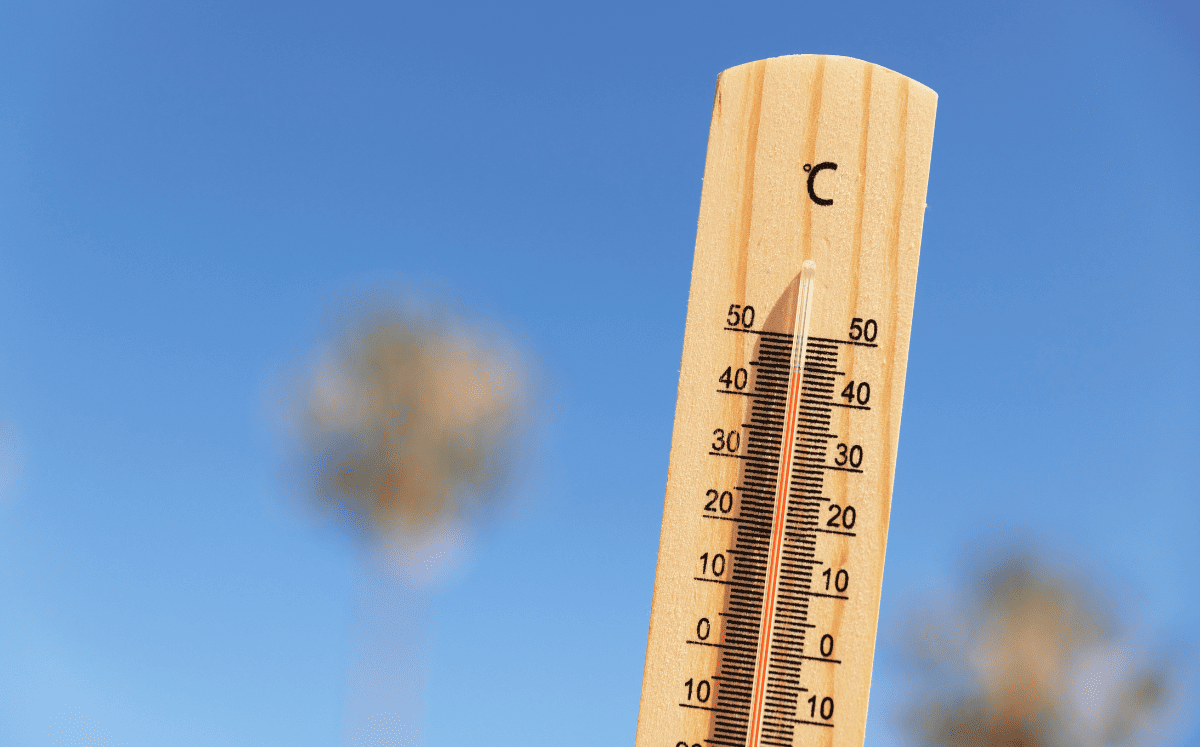 La canícula dura 40 días aproximadamente (Foto: Freepik)