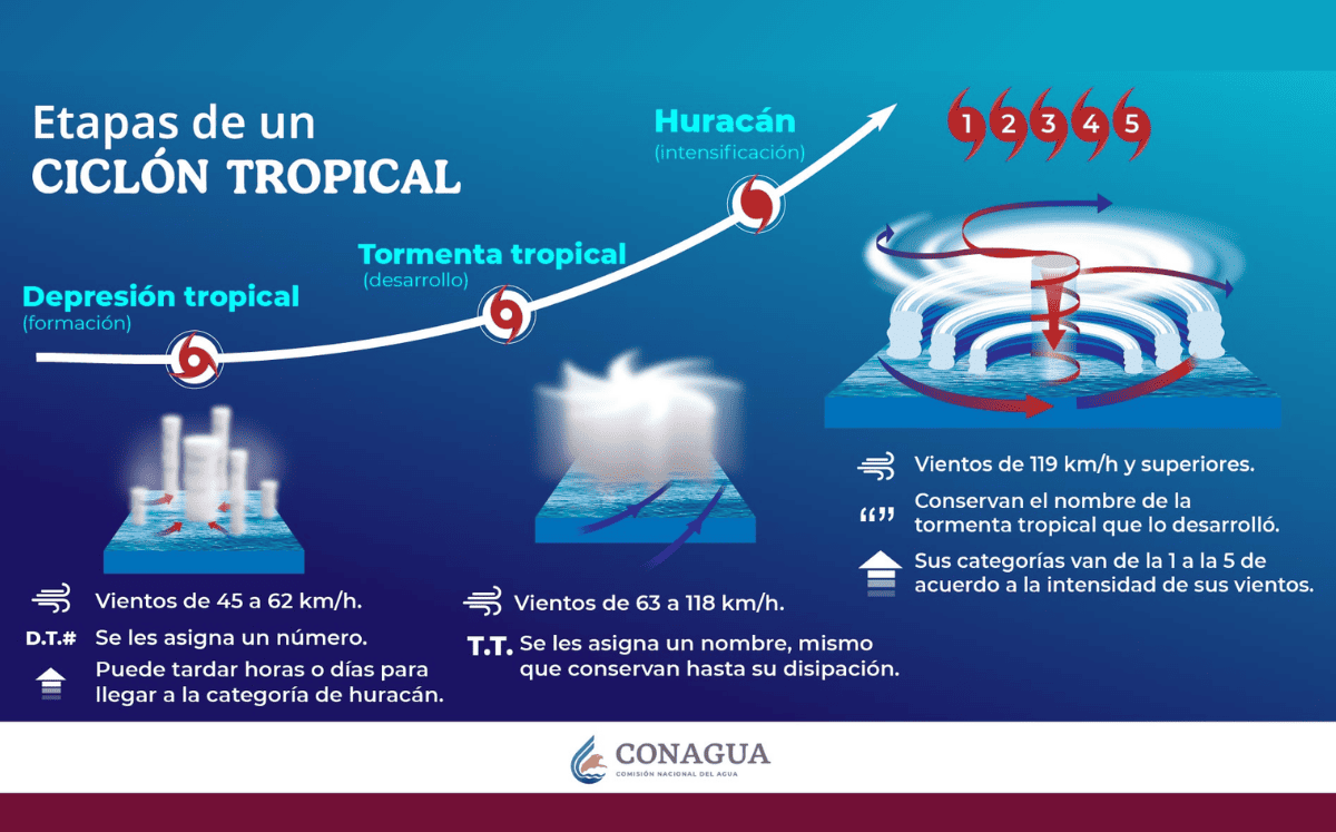 Etapas de un ciclón tropical (Foto: Conagua)