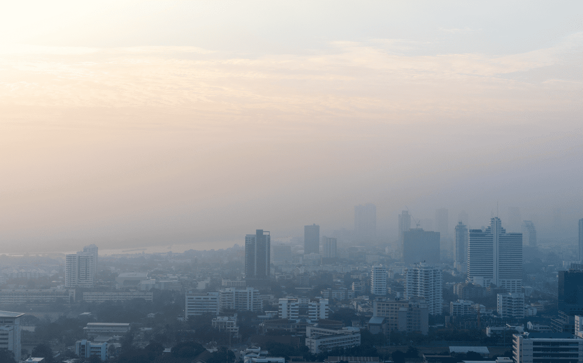 La contaminación y la concentración del polen juegan un papel crucial (Foto: Freepik)