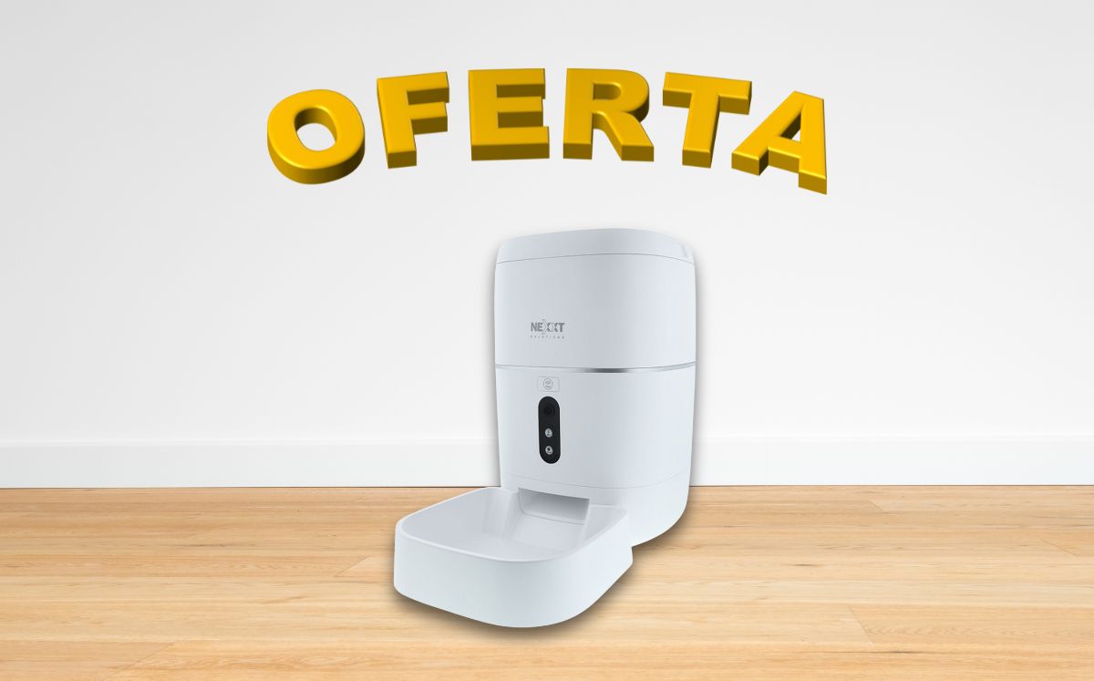 Palacio de Hierro lanza oferta que te va a interesar si tienes perros o gatos (Palacio de Hierro)