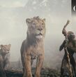 Árbol genealógico explicado de 'Mufasa, El Rey León' (Disney)