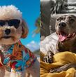 Todo lo que necesitas saber para cuidar a tu perro en la temporada de calor (Freepik)