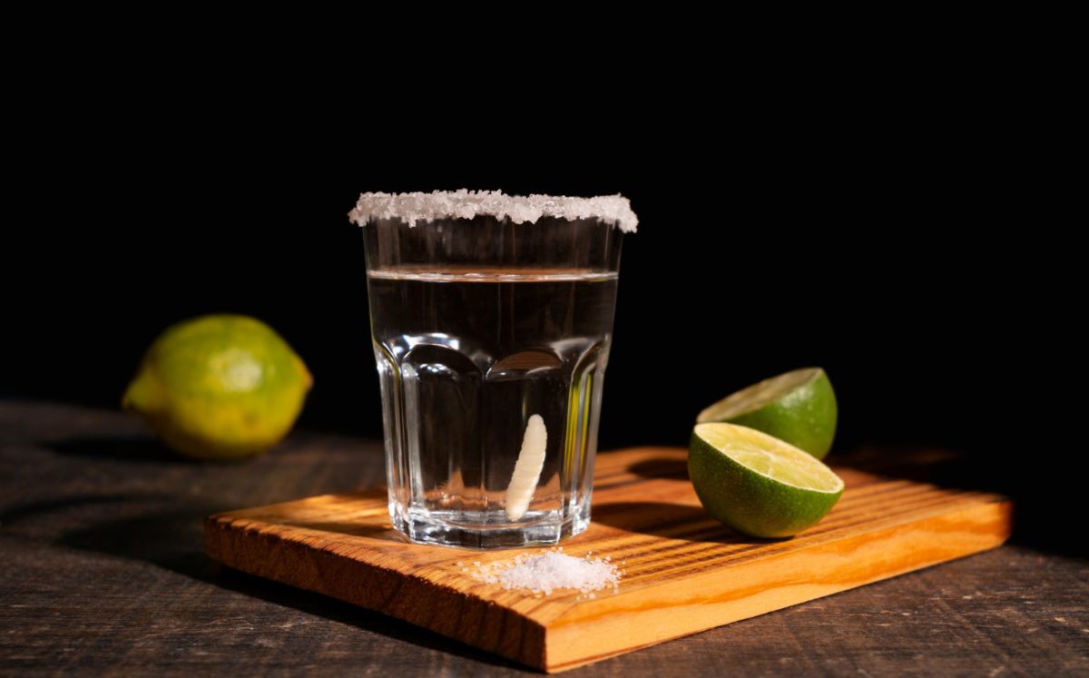El tequila más caro del mundo; ¿a cuánto se ha vendido? (Foto: Freepik)