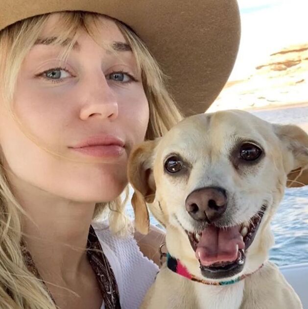 Famosos que han adoptado perritos callejeros (Foto: Instagram)