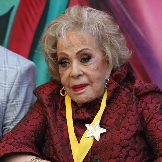 Herencia de Silvia Pinal: Quiénes son los herederos y cuánto recibirán (Foto: Getty)
