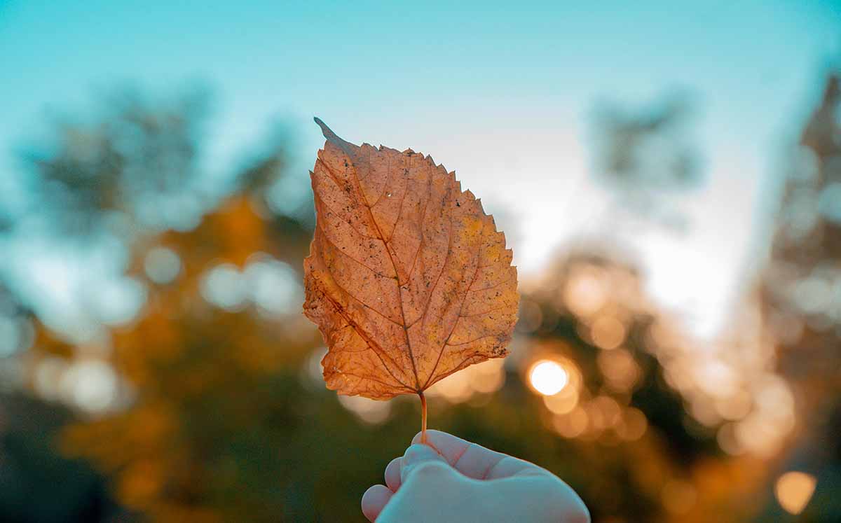 El equinoccio de otoño es un fenómeno astronómico que ocurre cuando el Sol se coloca directamente sobre el ecuador terrestre. (Foto: Freepik)