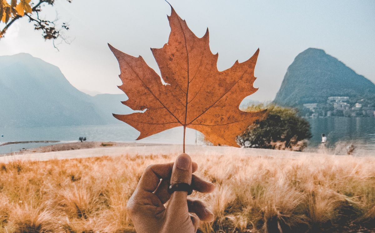 Equinoccio de otoño: Rituales de abundancia y renovación (Foto: Freepik)