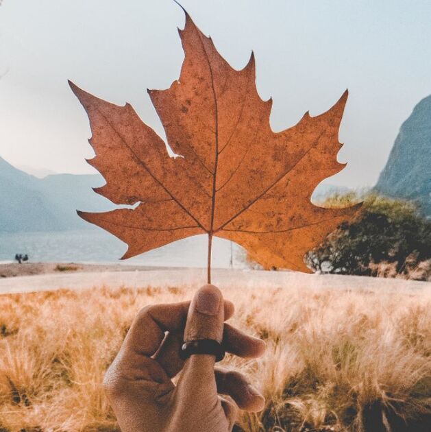 Equinoccio de otoño: Rituales de abundancia y renovación (Foto: Freepik)