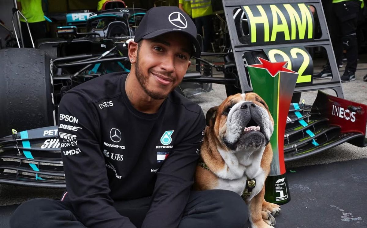 Lewis Hamilton se despide de Roscoe con desgarrador mensaje (Foto: Instagram)
