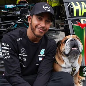 Lewis Hamilton se despide de Roscoe con desgarrador mensaje (Foto: Instagram)