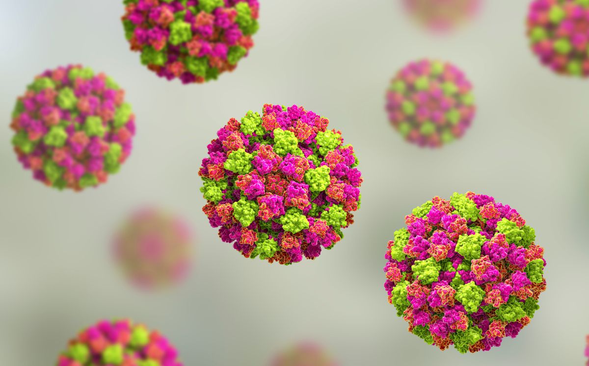 El norovirus es altamente contagioso y provoca vómitos y diarrea (Getty Images)